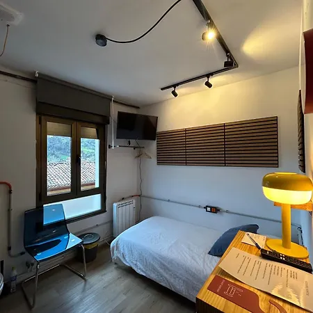 The Orange Teddy Bear La Pena *